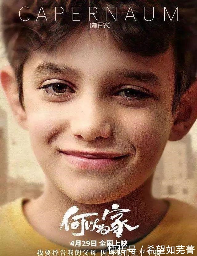 何以為家|觀《何以為家》,有感于劇情之外