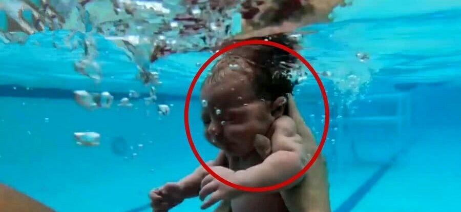 不已|刚刚出生的婴儿,就这样被妈妈扔在水里学游泳,网友心疼不已