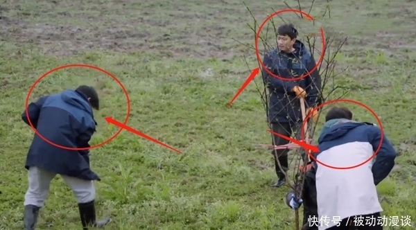 《向往》干活再遭质疑,前有挖藕后有种树,网友:哇偶,当我们瞎