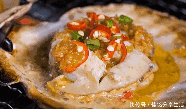 吐沙|洗花蛤万万不可只加盐,渔民教你土方法,花蛤疯狂吐沙,很实用