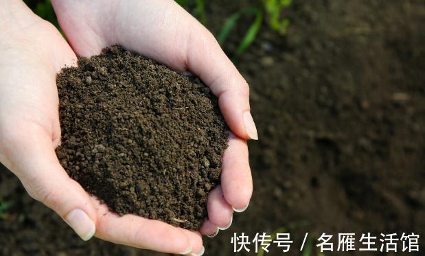 养花的土壤板结?加上4种东西,土壤疏松有劲,养啥都省心