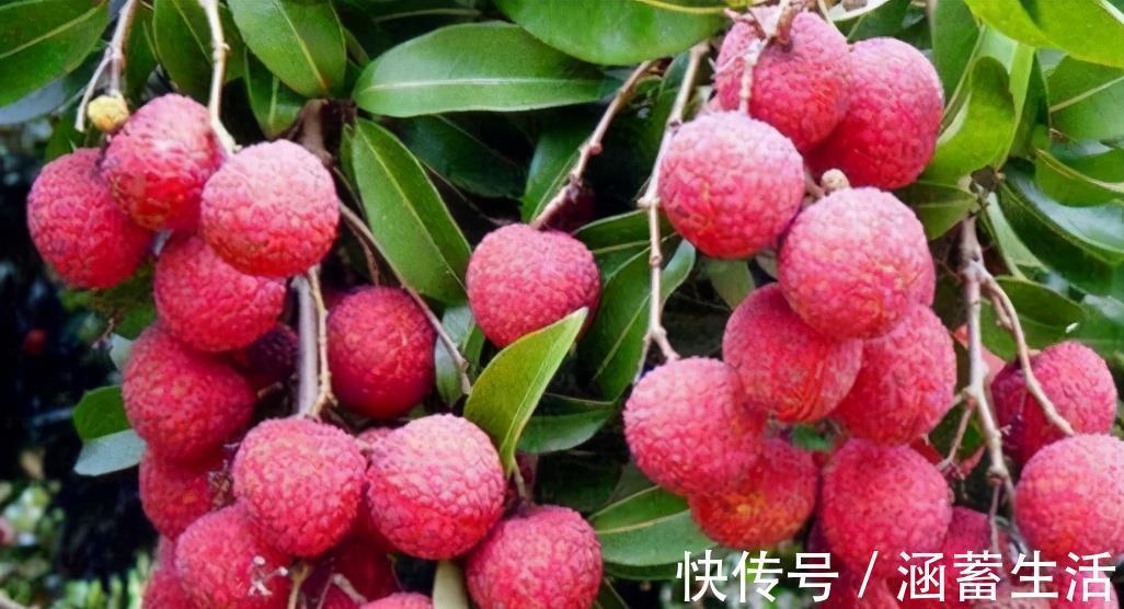 消除疲劳|女性不想老太快，推荐3种食物，清热排毒，刮油消脂，消除疲劳