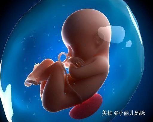 胎动频|怀孕后,若孕妈妈有3个“特殊”表现,说明孩子是个“聪明娃”