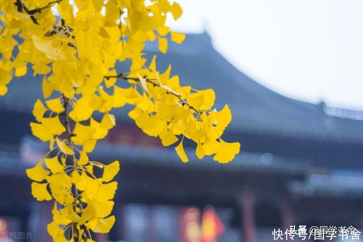 道德经$《菜根谭》:以谨慎意识修身,提防人生的“绵里之针”