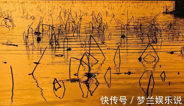 一条鱼没钓到,钓友被打出熊猫眼,围观者说:活该