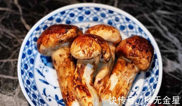 鸡油菌|食菌季|瘦肉松茸汤!