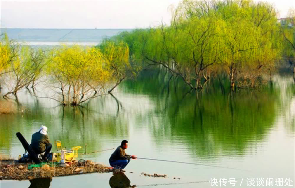 当代钓鱼人之“痛”:大包小包出门,两手空空而回,心是真的酸!