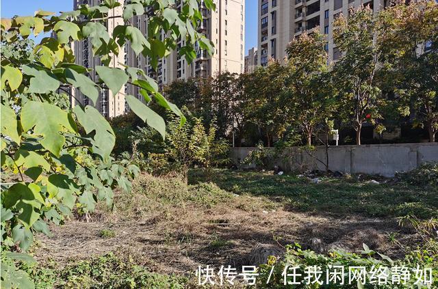 景枫|南京江宁核心区域！景枫拿地17年迟迟未动工官方回复来了！