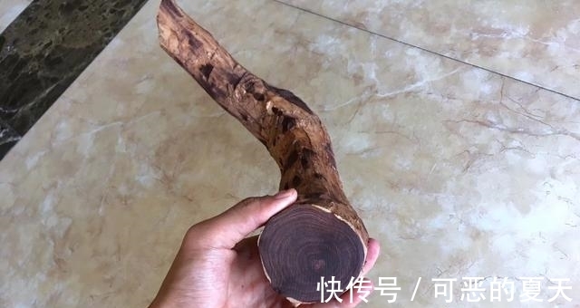 老家@老伯从老家带回半截木棍,一刀切开之后,惊喜不已