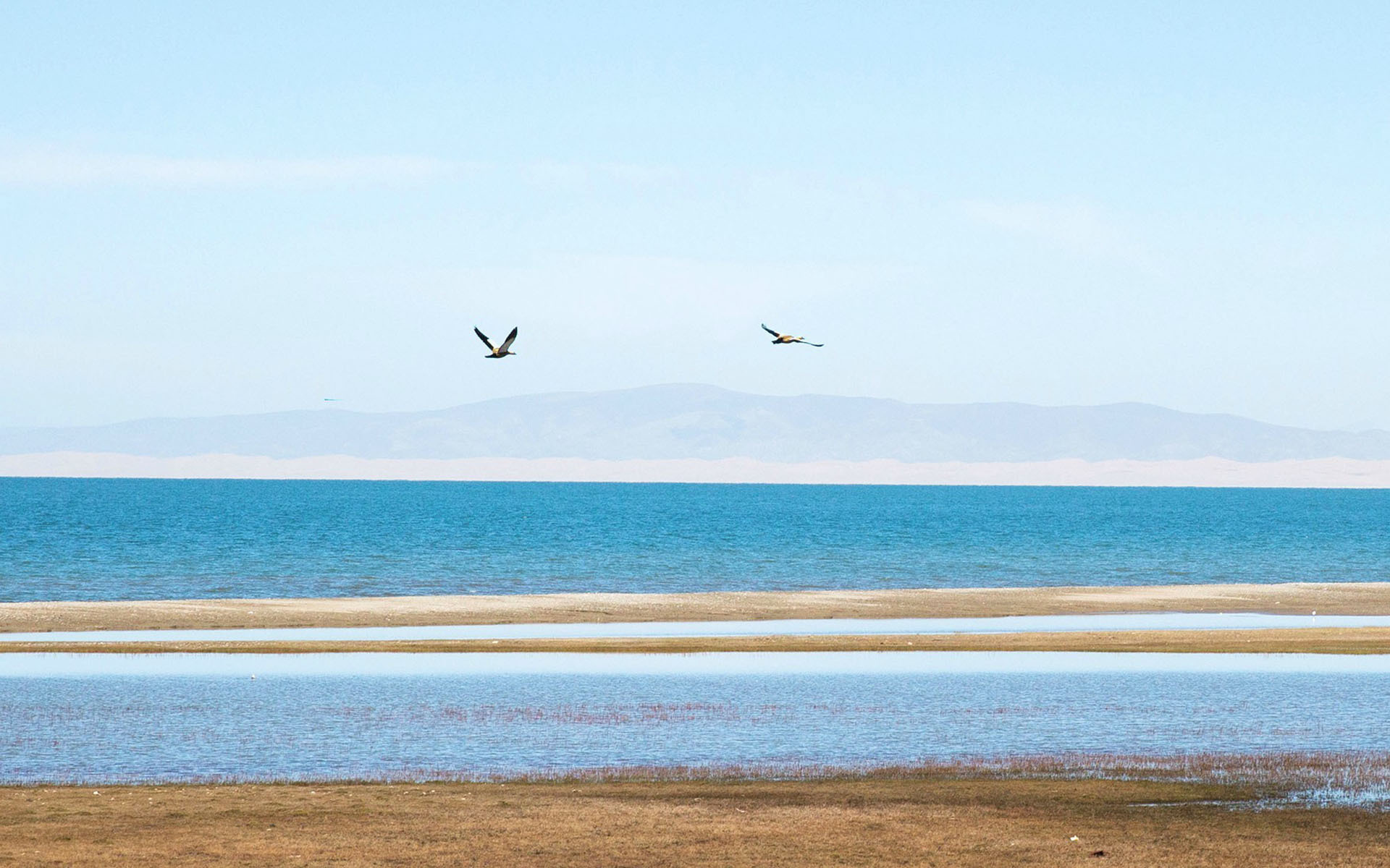 护理|如何护理帕金森病人呢?