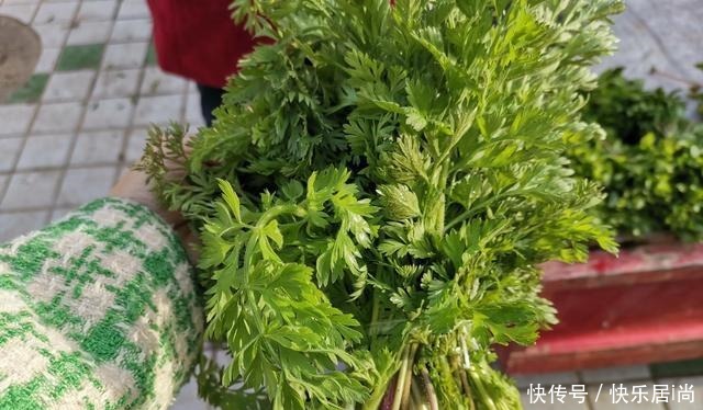 春天的农村里有这40种山珍野菜图片,让你轻松辨别山珍野菜