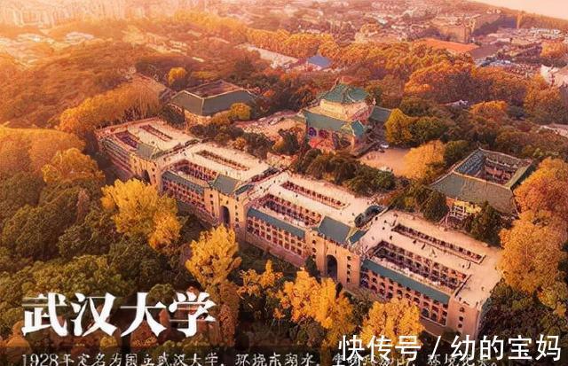 南方科技大学|有4所国内大学排行上调，被录取的学生有眼光，相当于买了绩优股