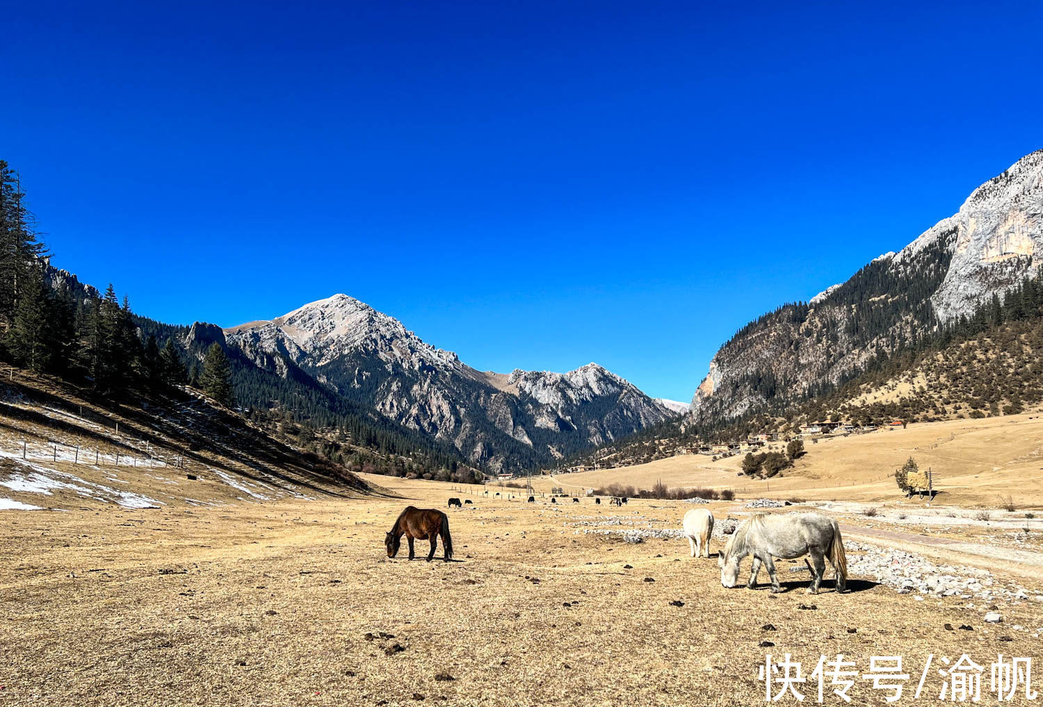 类乌齐|西藏小城以大山为名，雪山湖泊马鹿美如画，被称为东方小瑞士