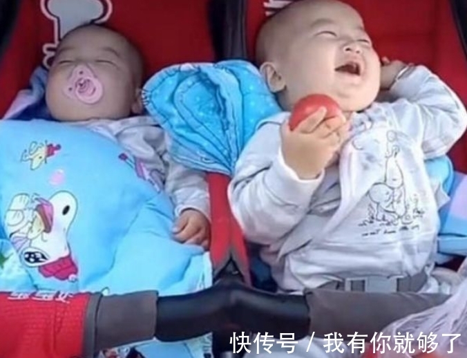 西红柿|带双胞胎出去买菜,哥哥突然大笑,回头看清妈妈乐坏了