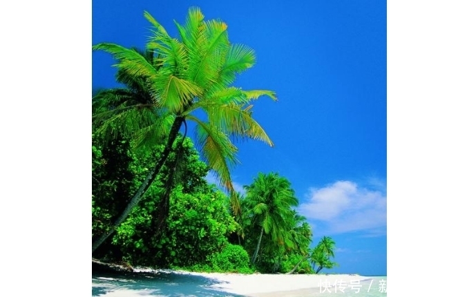 见面不只问声好,最具中国特色的问候语