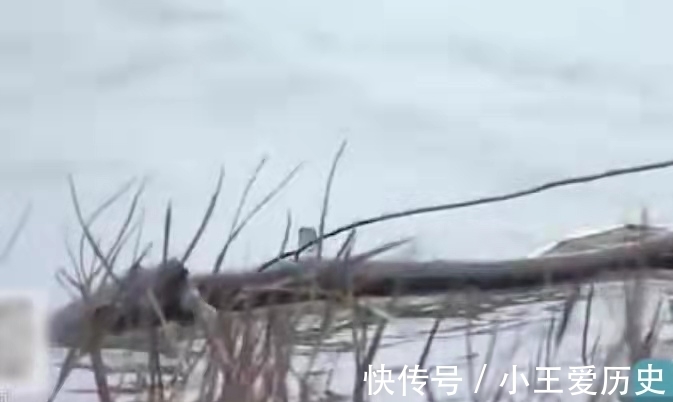 胡爱梅|年轻时抛妻弃子,年老病重带现任逼孩子养老,儿子:去告我啊!