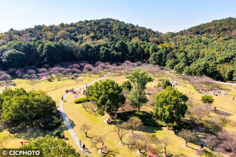 口袋公园|公园风景美 初冬叶斑斓