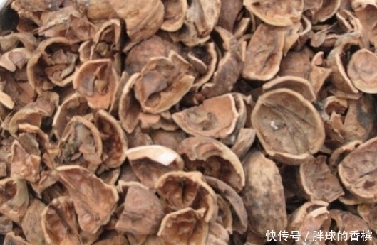 水煮|核桃壳不要扔了,用水煮一煮,能解决许多人的烦恼,大家来了解下