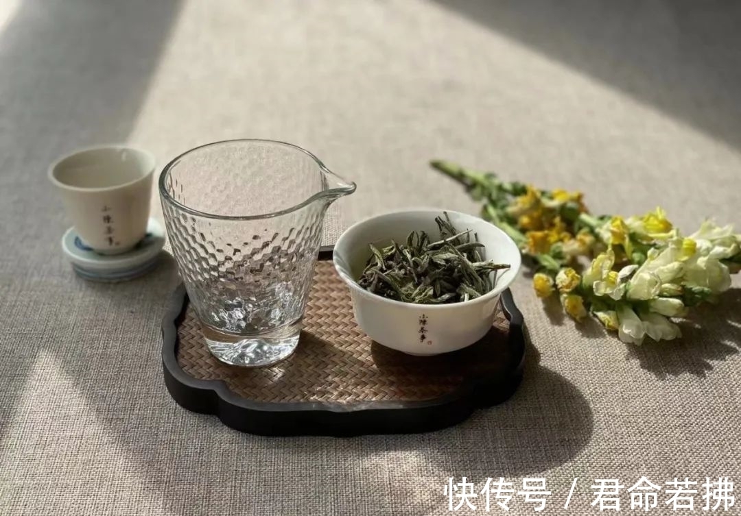 涨知识&新白茶为什么会有青味?这是好是坏,看完涨知识了