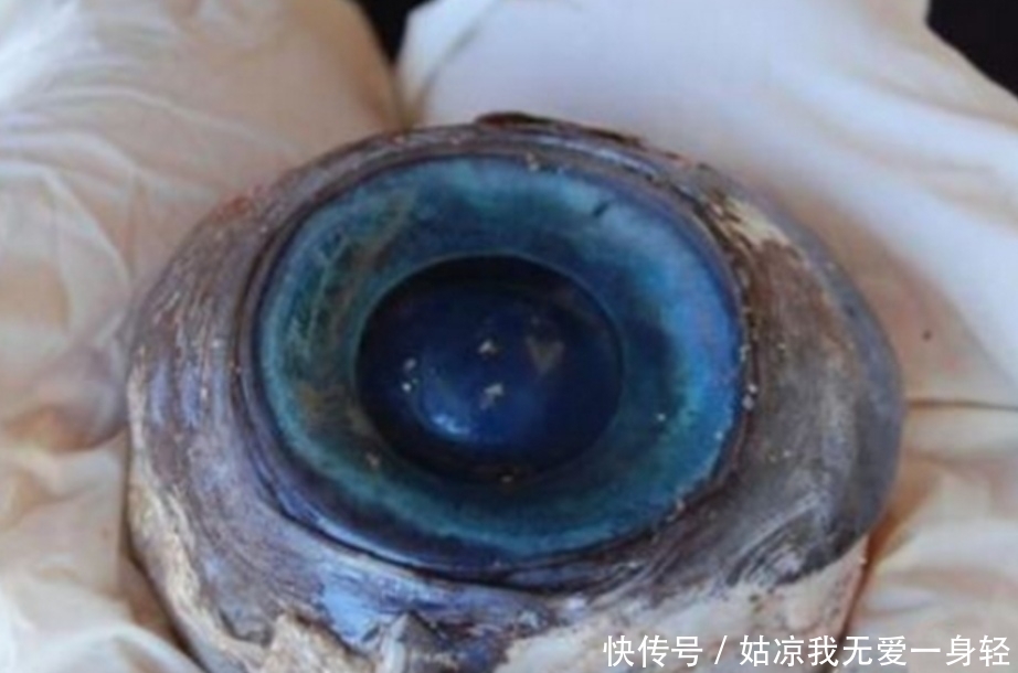 大爷|大爷捡到一块奇异的石头,表面蓝色,还会泛光
