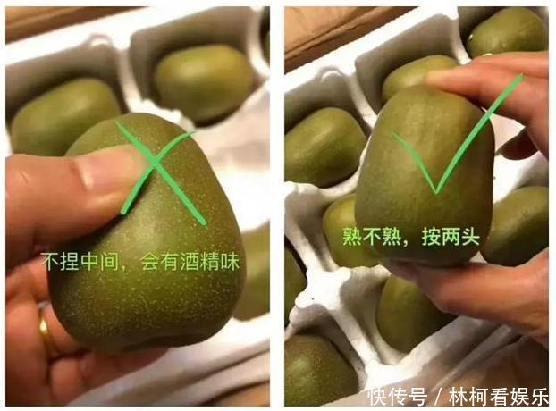 猕猴桃|红黄绿三色猕猴桃,谁才是水果之王