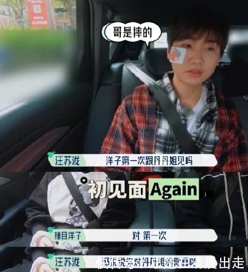 综艺|新综艺《五十公里桃花坞》,一开播就上演了大型“社死”戏!