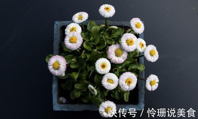 路边捡一点小东西,开水烫一下用来养花,养花十年也不会烂根