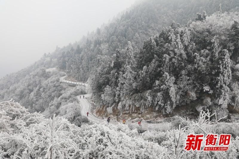 门票站点|神州最南赏雪佳处 南岳衡山绝美雾凇等你来