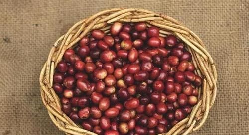 维他命b1|吃了不显老的食物,女人坚持吃,消除疲劳、迅速恢复体力,肌肤好