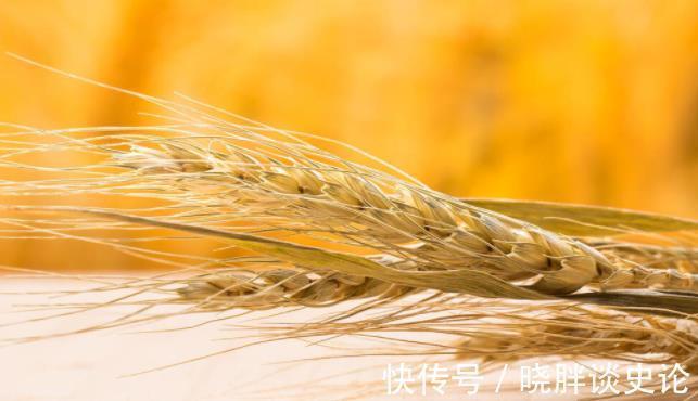 食物|除了鸡蛋,它也被称为全能的营养食物