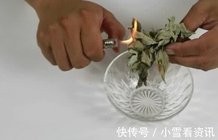 打火机|艾草用打火机烧一烧,活了30年才知道,真的超厉害