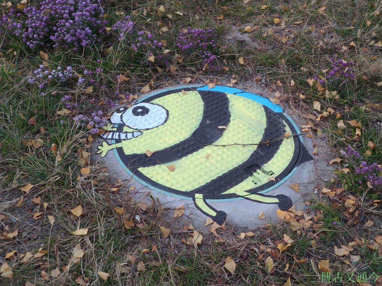 灭亡|夕阳下的温榆河示范区东园(下),看火星般颜色的日落