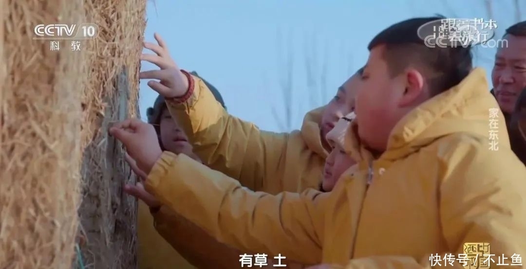 玉门关 不愧是央视,拍的“大语文”综艺简直一流