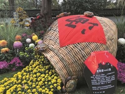 菊花精品展|长三角菊花精品 植物园开展啦