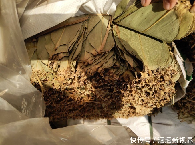 绿油油|端午包粽子,用干粽叶还是鲜粽叶2种区别大,不懂可别乱买