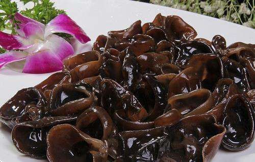 食物|记住这几种食物不会发胖,还能刮油清肠!