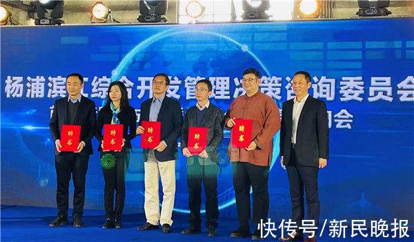 夏雨|“神仙会”专家来支招:五大滨江带,杨浦怎样保持高光?