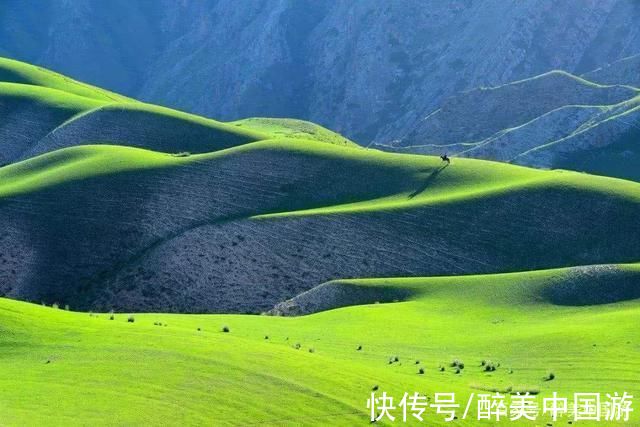 区间车|探访喀拉峻草原，背依巍峨雪山，景色辽阔秀美