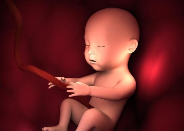 怀孕期间|胎儿竟会在肚子里偷偷“保护”妈妈,这些暖哭了的表现你知道吗?