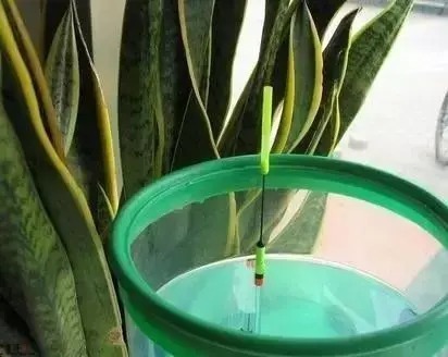 秋钓鲫鱼的半水钓法与跑铅钓法,大板鲫一钓一个准