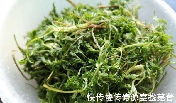 野菜|日本人每天必吃的“长寿菜”，我国产量大但没人吃，含钙比牛奶高！