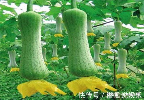 护肤|聪明的女性都在吃4种食物,排毒护肤,降压减脂,预防子宫早衰