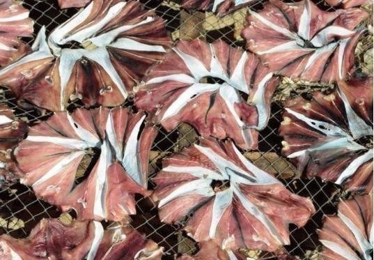 闭壳肌干制|提醒中老年花生瓜子要少吃，多吃这几物， 胜过天天去跑步