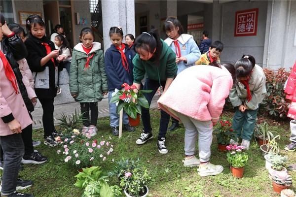 雨城区汉碑慈济小学开展“3.12”植树节系列活动