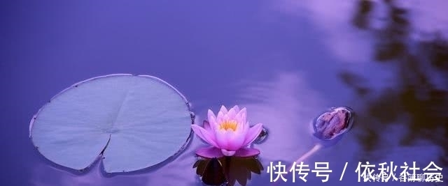 清净|《老子》:一个人具备玄德,有6个特征,真正做到顺其自然