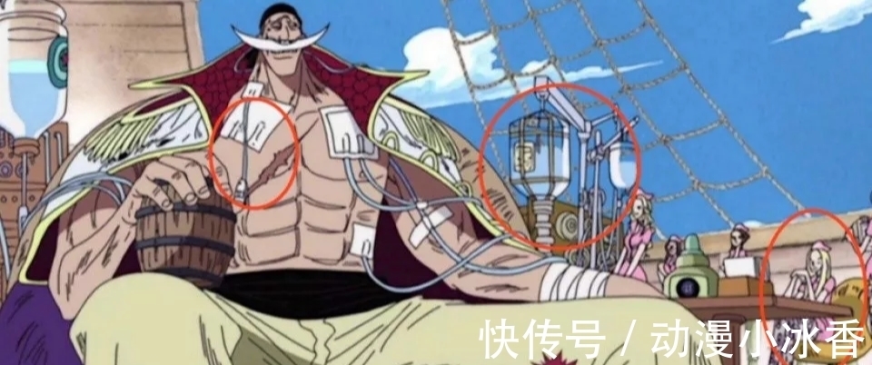海贼王|海贼王:号称最强男人的果实,本身就巨大缺陷,白胡子忍了50年