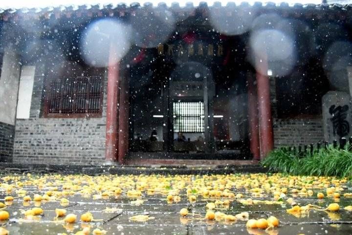 烟雨|虚幻缥缈、充满神韵的烟雨蓬莱阁，你心动了吗？