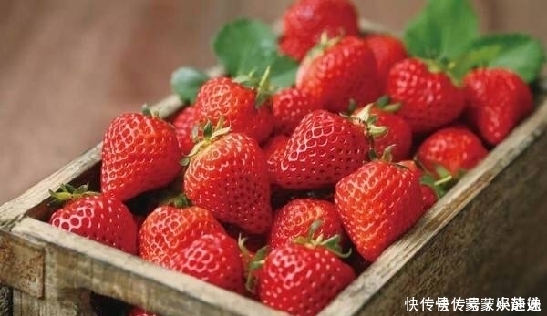 草莓别用水冲,水果店老板教我一招,灰尘和虫卵自动跑出来,学学