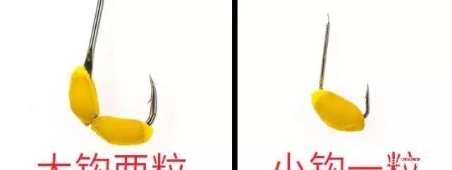 药酒|民间流传的独特钓法:一颗麦子钓一条大鱼