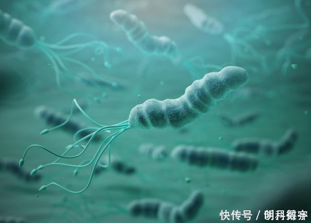 杀菌先养胃！幽门螺杆菌“大宿敌”公布，若你常吃，胃好壮如牛